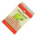 Kredki Jumbo Natural Special Finish 12 kol-88250