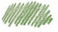 Koh-I-Noor Polycolor Kredka 25 Ziel Tr J-95214