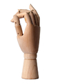 Leniar Model dłoni drewniany 30 cm prawa-106853