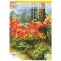 KIN malarstwo krajobrazowe tom 15 leonardo compact-139239