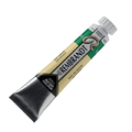 Talens Rembrandt farba Water 20ml 623 sap green-110808