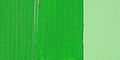 Talens Amsterdam Acryl Farba 618 Perm GreenL 120ml-69139