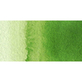 Talens Van Gogh Aquarel Farba 10ml 623 Sap Green-70541