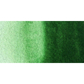 Talens Van Gogh Aquarel Farba kostki 645 Hook Gr D-111789