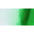 Talens Van Gogh Aquarel Farba kostki 662 Per Green-111783