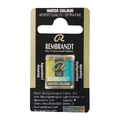 Rembrandt Akwarel Kameleon 863-139952