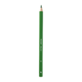 Bruynzeel Mega Colour Pencils Dark G reen-139690