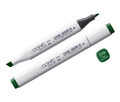 COPIC Classic Marker G19 Bight Parrot Green  -145098