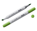 COPIC Ciao Marker G14 Apple Green  -144731