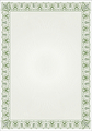Papier na dyplomy certyfikaty CYPRYS 170g 25 szt-22086