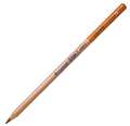 Bruynzeel Design Colour Kredka 79 Burnt Ochre -149286