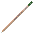 Bruynzeel Design Pastel /o Kredka 96 Sap Green -149345