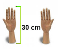 Leniar Model dłoni drewniany 30 cm prawa-109662