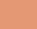 Prismacolor Premier kredka PC0945 Sienna Brown-121371
