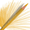 Prismacolor Premier kredka PC1034 Goldenrod -121546