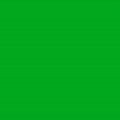 Prismacolor Col-erase kredka 1292 Green Grass-124259