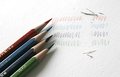 Prismacolor Col-erase zestaw 12 kredek-124303