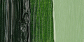 Talens Van Gogh Farba olejna 40ml 623 Sap Green-69728