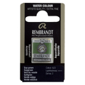 Talens Rembrandt farba Water Half Pan 623 s green-110970