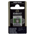 Talens Rembrandt farba Water Half Pan 644 H green-110974