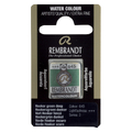 Talens Rembrandt farba Water Half Pan 645 hop gree-110975