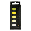 Rembrandt Soft Pastels Cool Yellows Set-136681