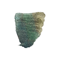 Rembrandt Akwarel Kameleon 863-139951