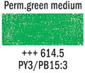 Talens Van Gogh Oil pastela 614.5 p green m-111728