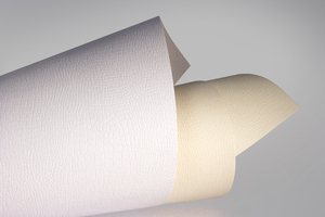 Karton ozdobny A4 Standard Borneo kremowy 20 szt 