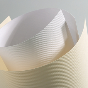 Karton ozdobny A4 Standard Linie biały 20 szt 