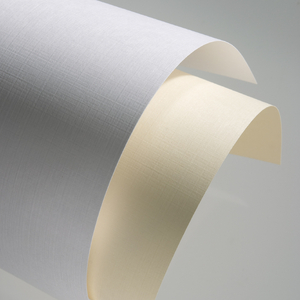 Karton ozdobny A4 Standard Płótno biały 20 szt 