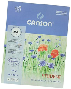 Blok Canson Akwarela Biały 10 250g 300x400