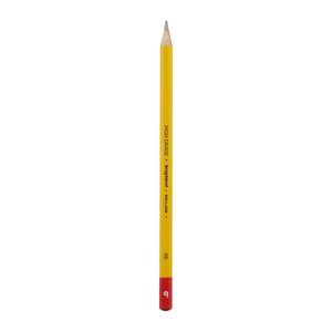 Bruynzeel Burotek 6B Graphite Pencils