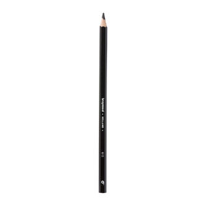 Bruynzeel Super Colour Pencils Black