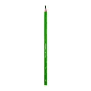 Bruynzeel Super Colour Pencils Light Green