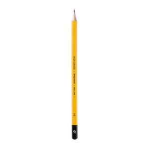 Bruynzeel Burotek HB Graphite Pencils