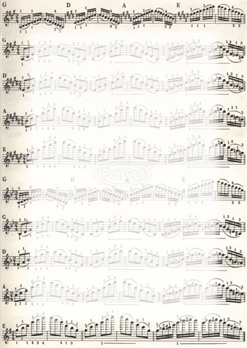 Papier na dyplomy NUTY 170g 25 szt -50442