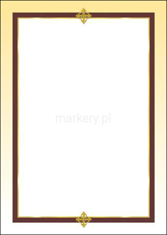 Arkusze barwne FRANCJA 100g 50 szt -46729