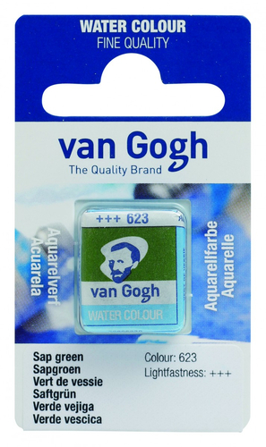 Talens Van Gogh Aquarel Farba kostki 623 Sap Green-70511