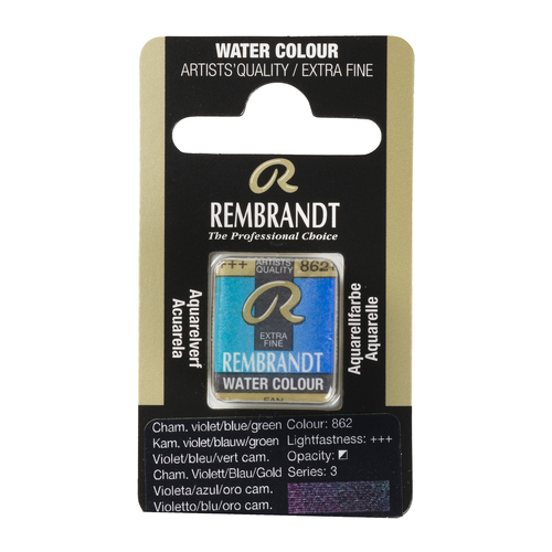 Rembrandt Akwarel Kameleon 862-139949